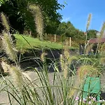 Urban Jungle - The Garden Side