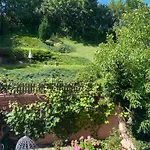 Urban Jungle - The Garden Side Gdynia