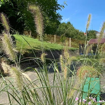 Urban Jungle - The Garden Side